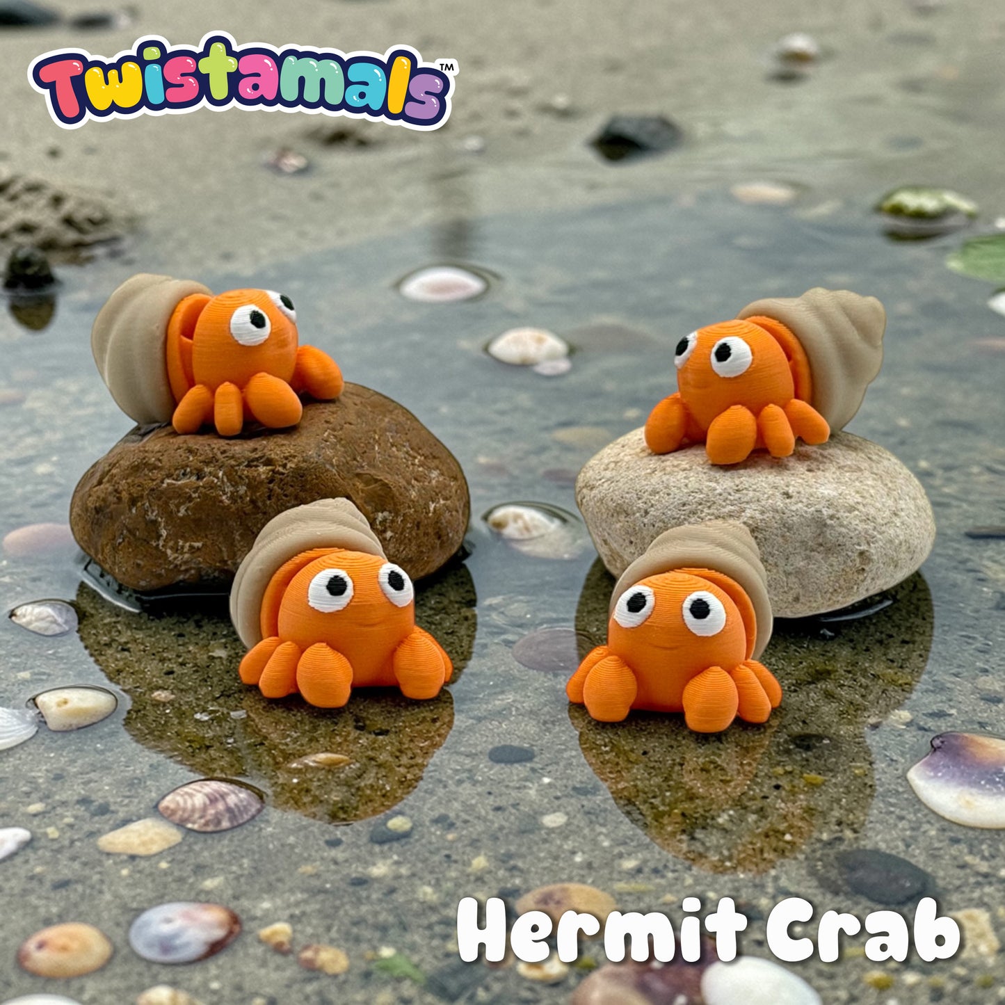Twistamals Hermit Crab