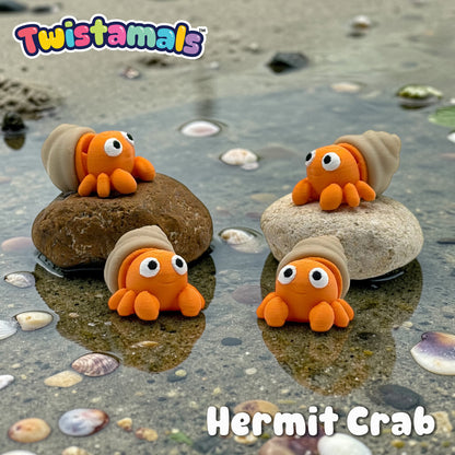 Twistamals Hermit Crab