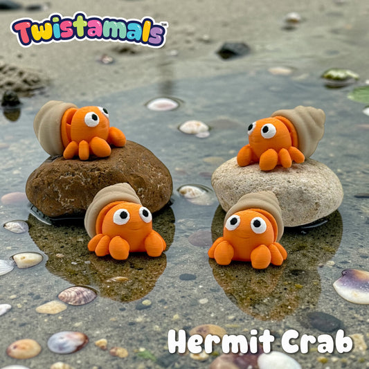 Twistamals Hermit Crab